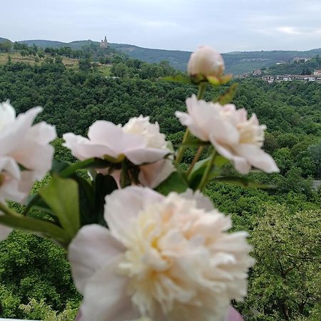 Dervent Apartment Veliko Tŭrnovo Eksteriør bilde